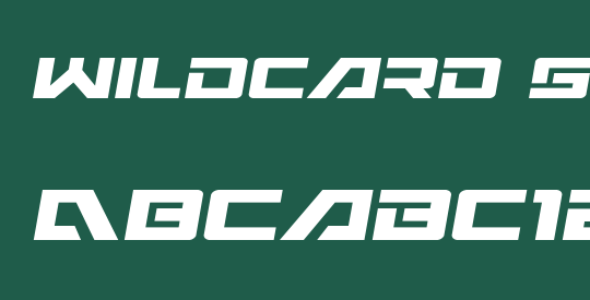 Wildcard Semi-Italic