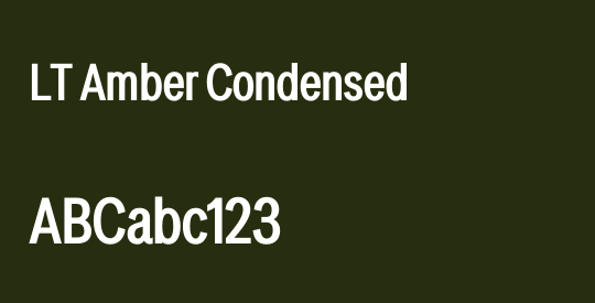 LT Amber Condensed