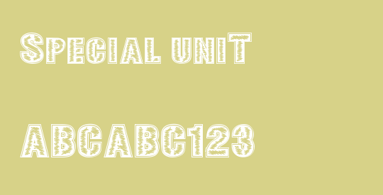 SPECIAL UNIT