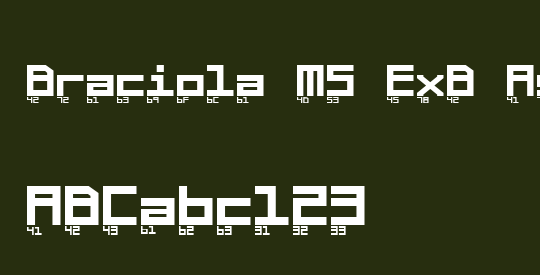 Braciola MS ExB Ascii