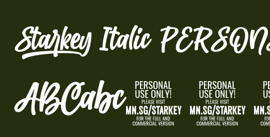 Starkey Italic PERSONAL USE