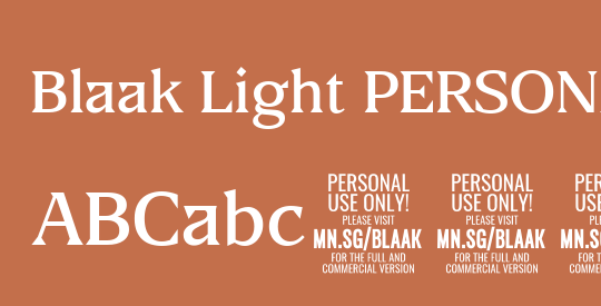 Blaak Light PERSONAL USE