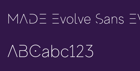 MADE Evolve Sans EVO