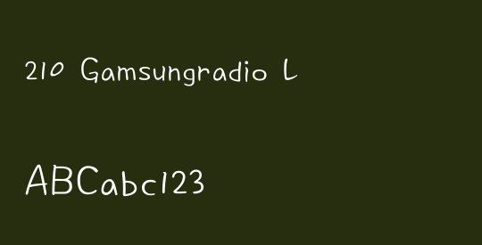 210 Gamsungradio L