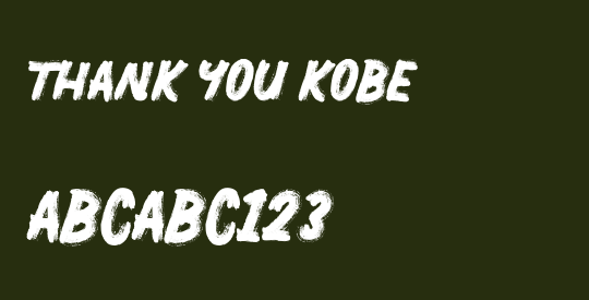 THANK YOU KOBE