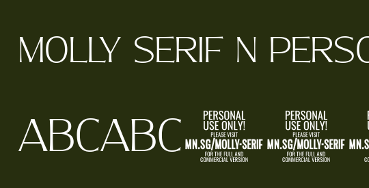 Molly Serif N PERSONAL