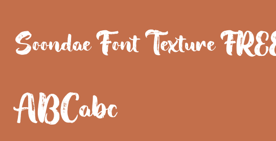Soondae Font Texture FREE