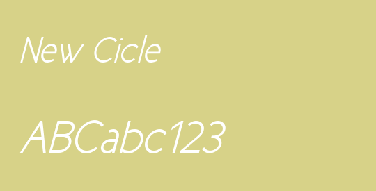 New Cicle