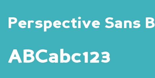 Perspective Sans Black