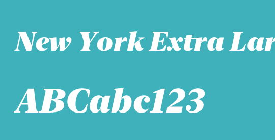 New York Extra Large