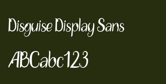 Disguise Display Sans