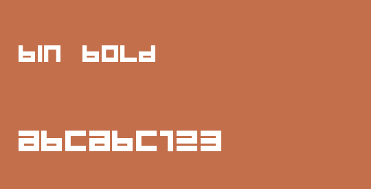 BIN Bold