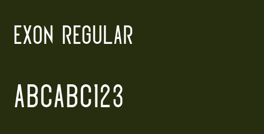 Exon regular