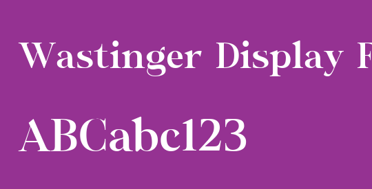 Wastinger Display Free Personal