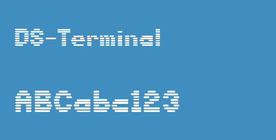 DS-Terminal
