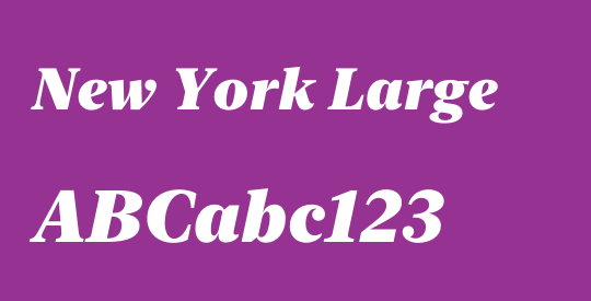 New York Large