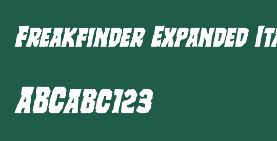 Freakfinder Expanded Italic