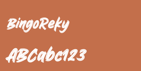 BingoReky