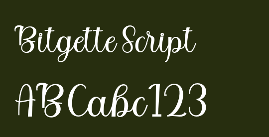 Bitgette Script