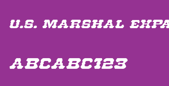 U.S. Marshal Expanded Italic