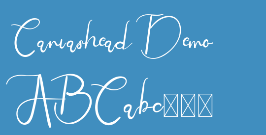 Canvashead Demo