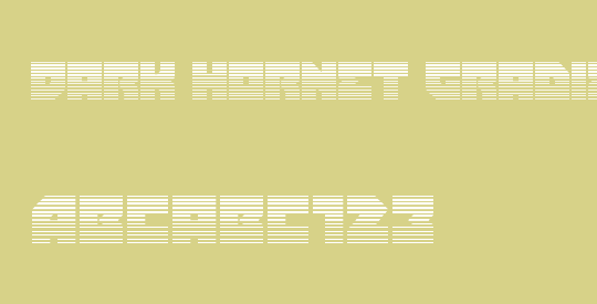 Dark Hornet Gradient 2