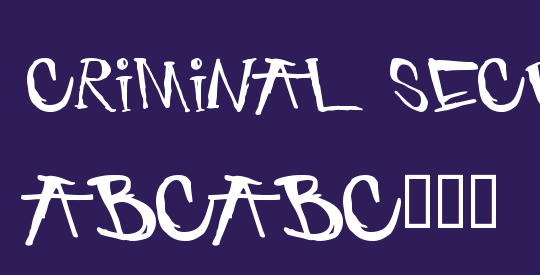 criminal security