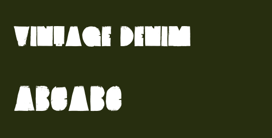 Vintage Denim