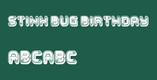 Stink Bug Birthday