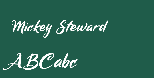  Mickey Steward