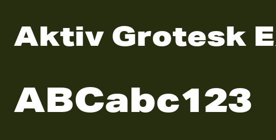Aktiv Grotesk Ex