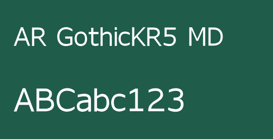 AR GothicKR5 MD