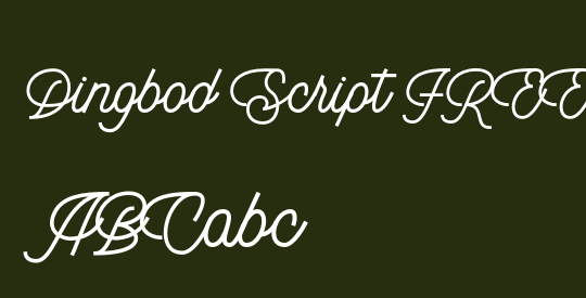 Dingbod Script FREE