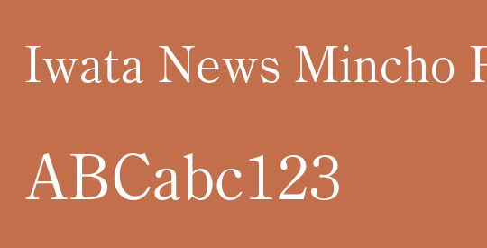 Iwata News Mincho Pro