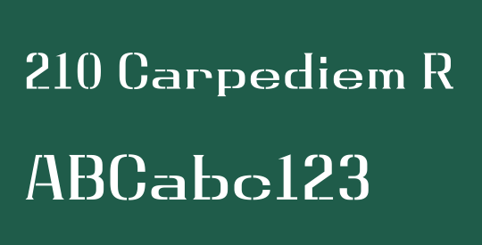 210 Carpediem R