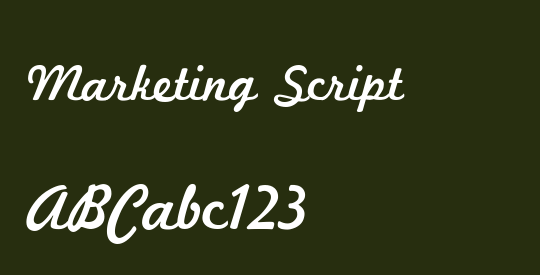Marketing Script