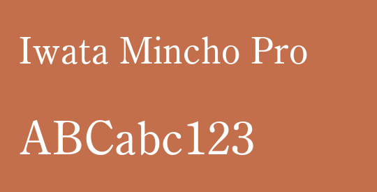 Iwata Mincho Pro