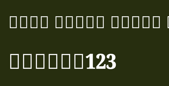 Noto Serif Tamil Cond Blk