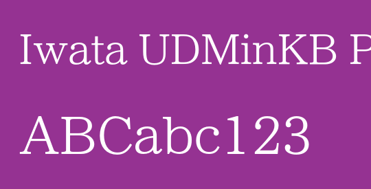 Iwata UDMinKB Pr6