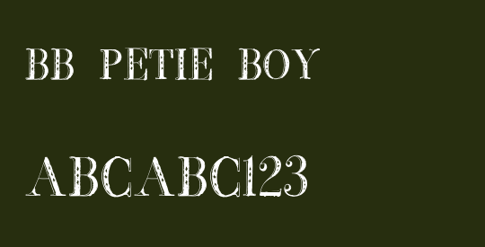 BB Petie Boy