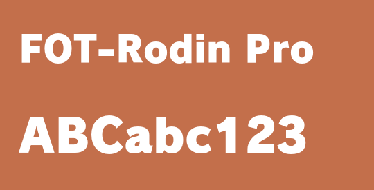 FOT-Rodin Pro