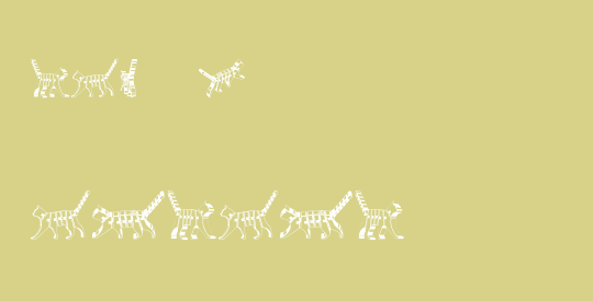 Cat 3D