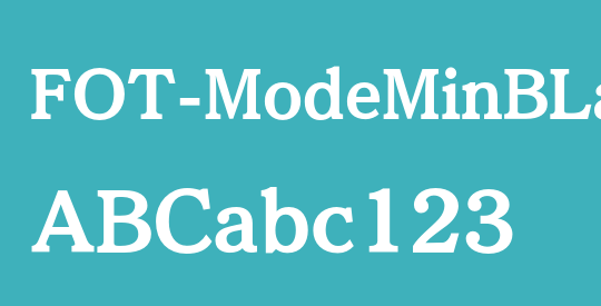 FOT-ModeMinBLarge Pro